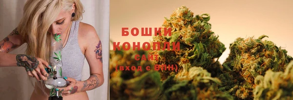хмурый Горняк