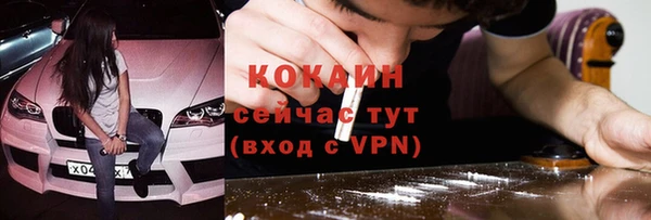 хмурый Горняк